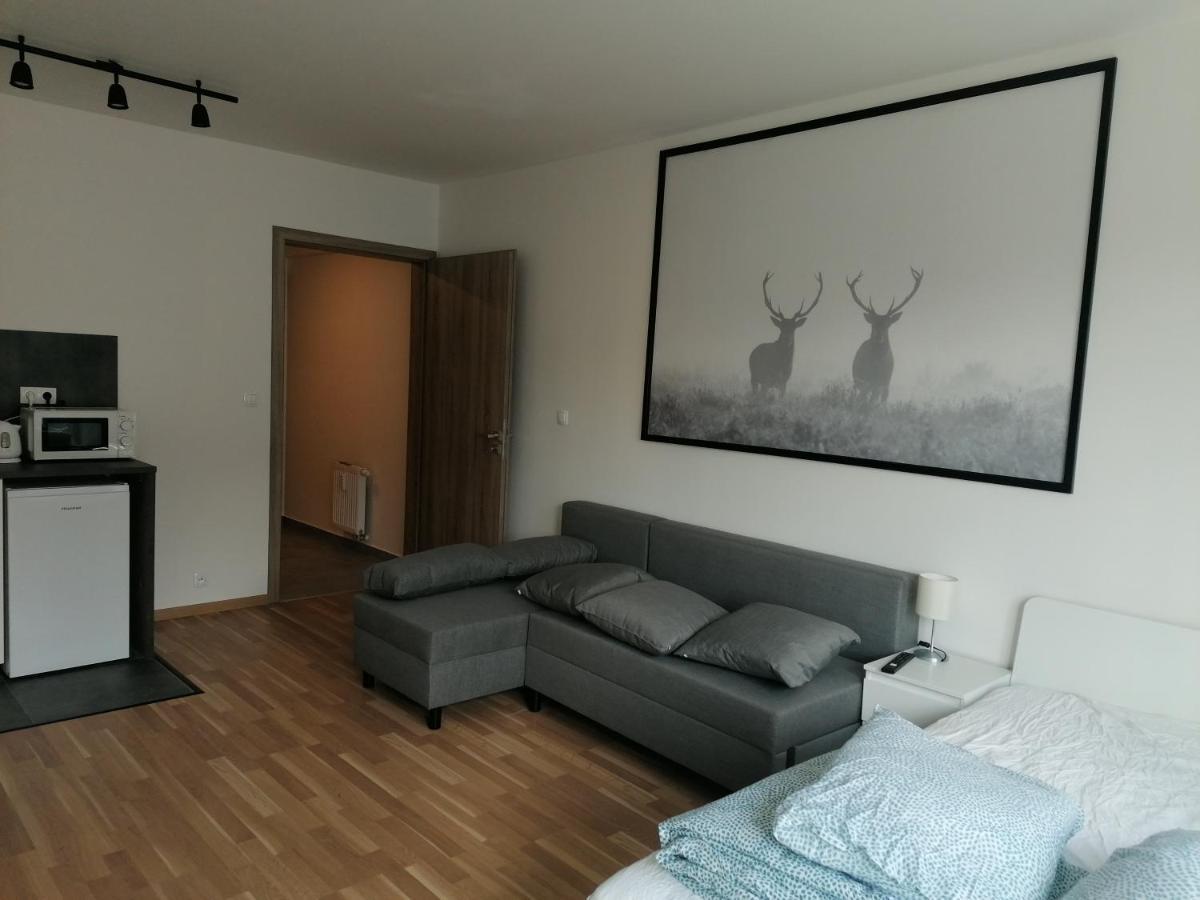 Brand New Studio Apartment #51 With Free Secure Parking In The Center Prag Exterior foto